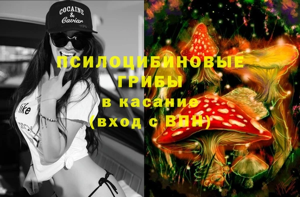 дживик Арсеньев