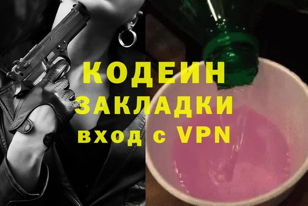 дживик Арсеньев