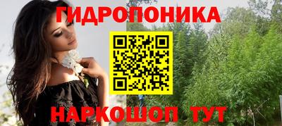 крисы Усть-Илимск
