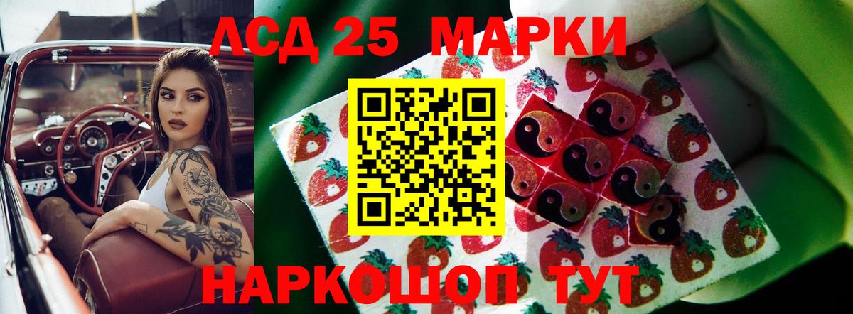 ЛСД экстази кислота  LSD-25 экстази кислота  Сунжа  Вход с VPN 