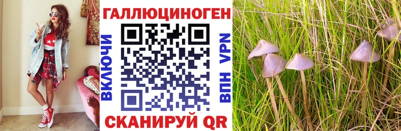Псилоцибиновые грибы Psilocybe  наркошоп  Сунжа 
