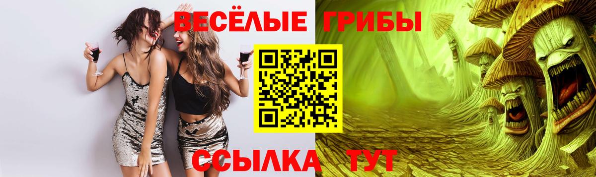 Галлюциногенные грибы Psilocybine cubensis  Вход с VPN  Сунжа  Псилоцибиновые грибы прущие грибы 